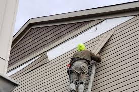 Historical Building Siding Restoration in Douglass Hills, KY